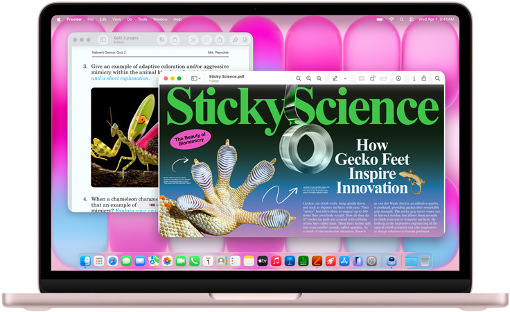 MacBook Neo, warna blush, layar menampilkan artikel tentang biomimikri dan kuis tentang topik serupa